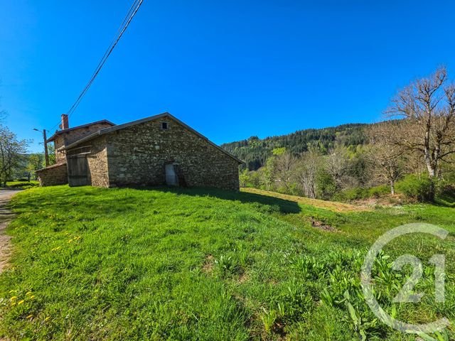 maison à vendre - 3 pièces - 118.0 m2 - LAVAL SUR DOULON - 43 - AUVERGNE - Century 21 Api Immobilier